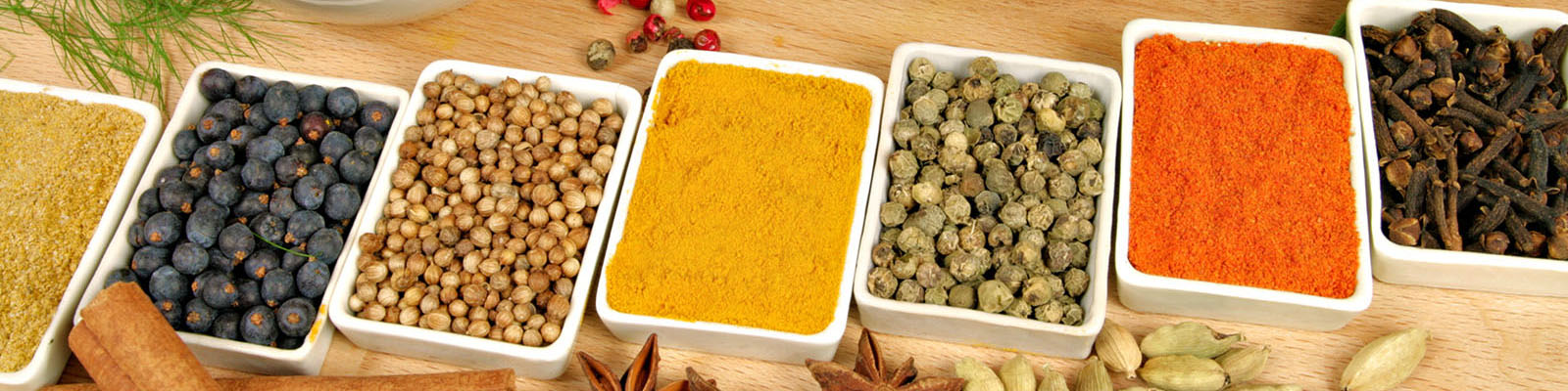 SPICES BANNER